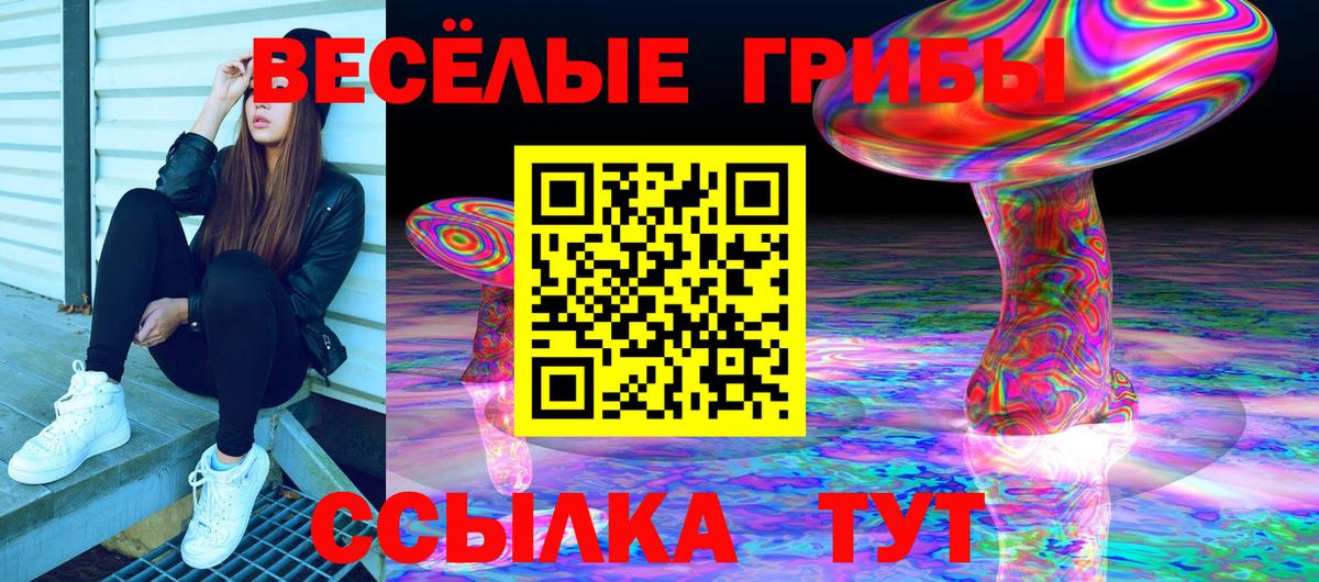 Псилоцибиновые грибы Magic Shrooms Егорьевск